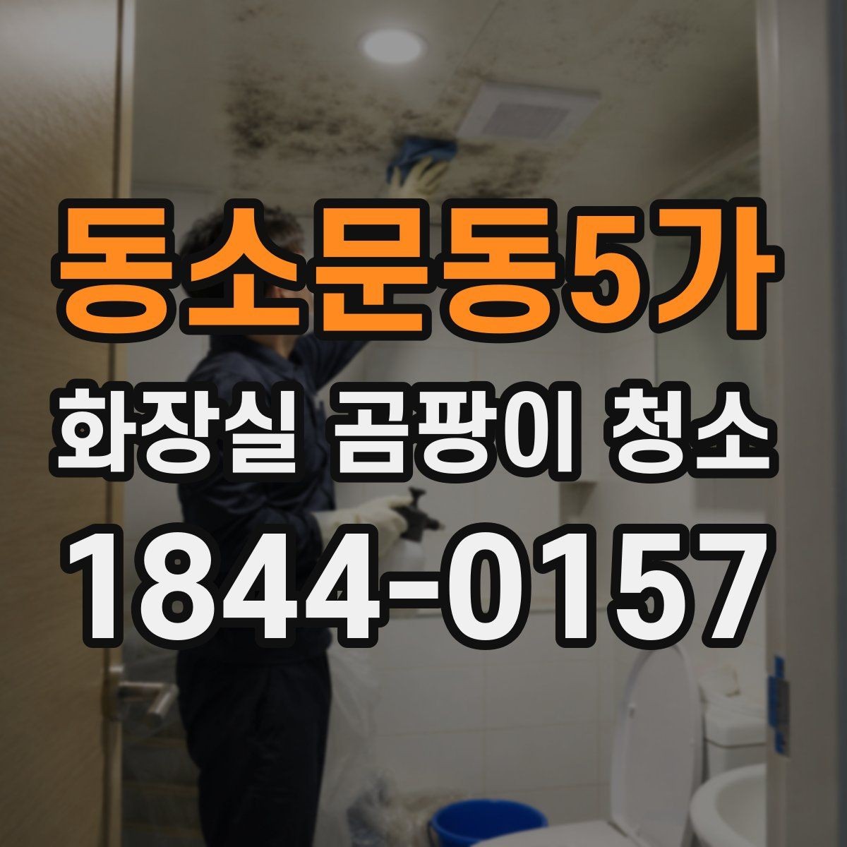 동소문동5가 화장실 곰팡이 청소 청소 전 환기와 보호를 챙기는 순서