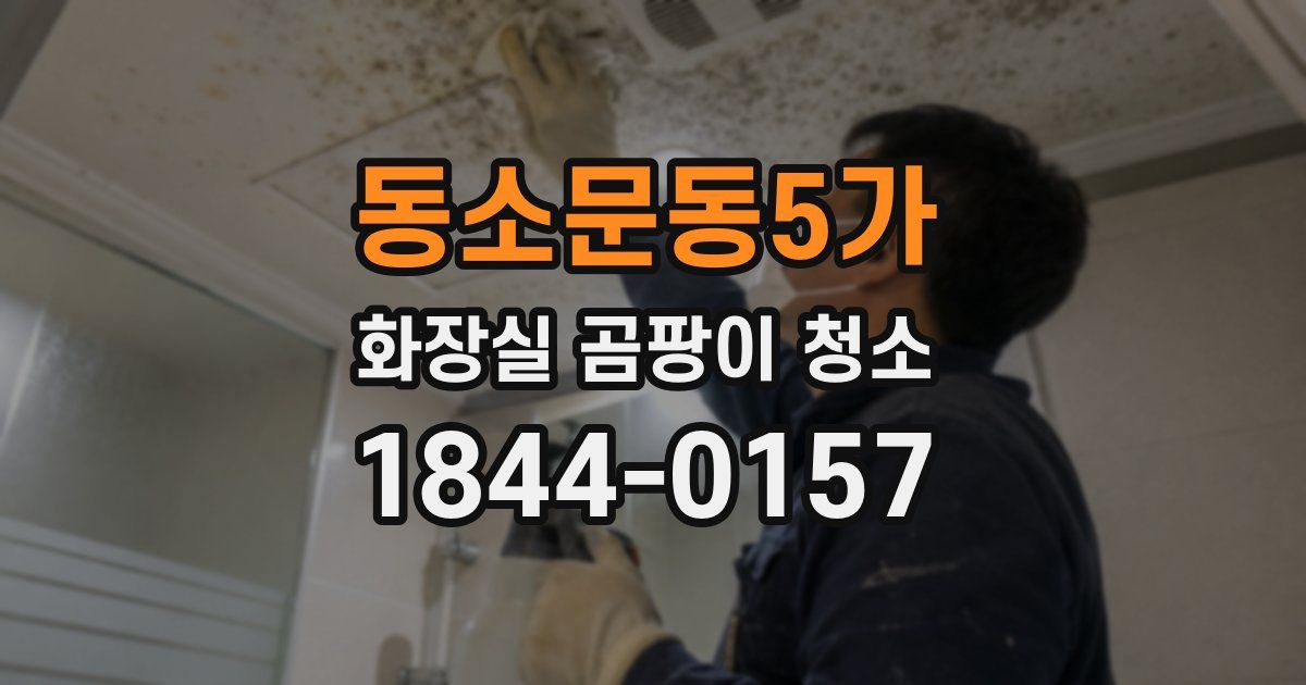 동소문동5가 화장실 곰팡이 청소