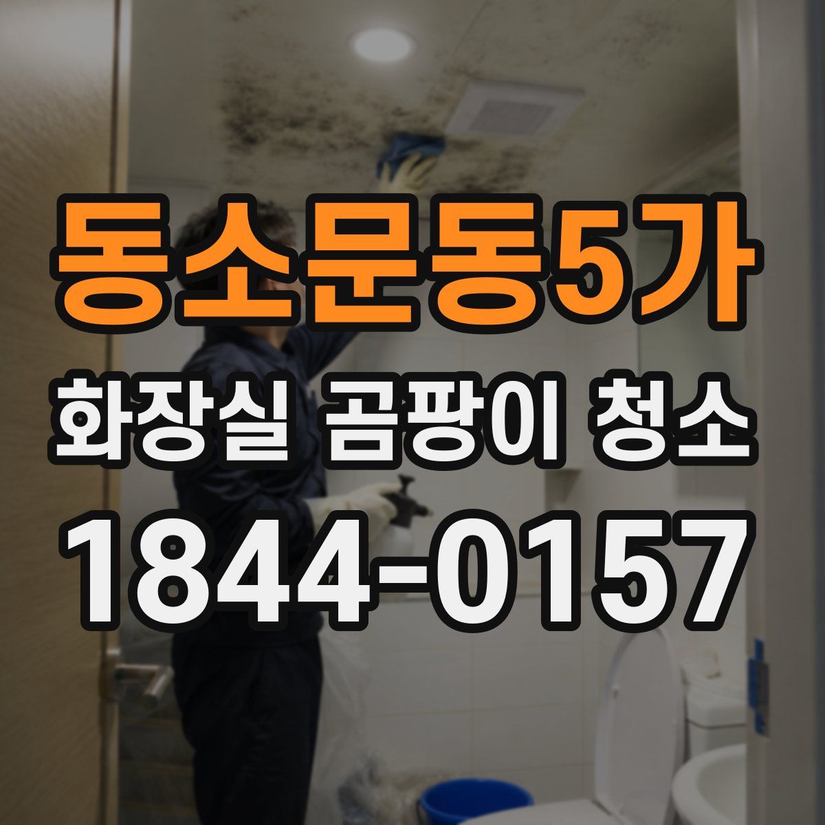 동소문동5가 화장실 곰팡이 청소