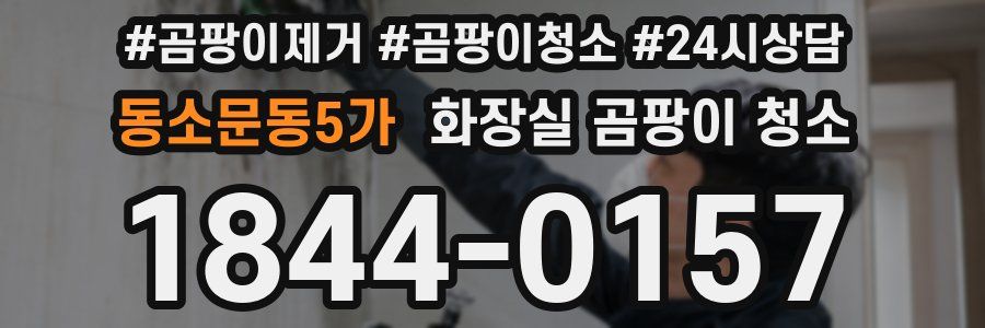 동소문동5가 화장실 곰팡이 청소