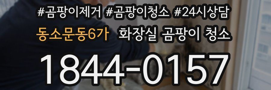 동소문동6가 화장실 곰팡이 청소