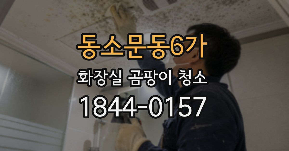 동소문동6가 화장실 곰팡이 청소