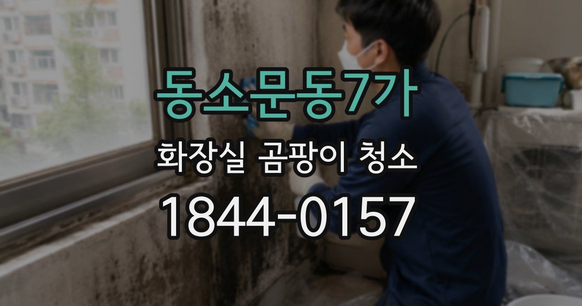 동소문동7가 화장실 곰팡이 청소