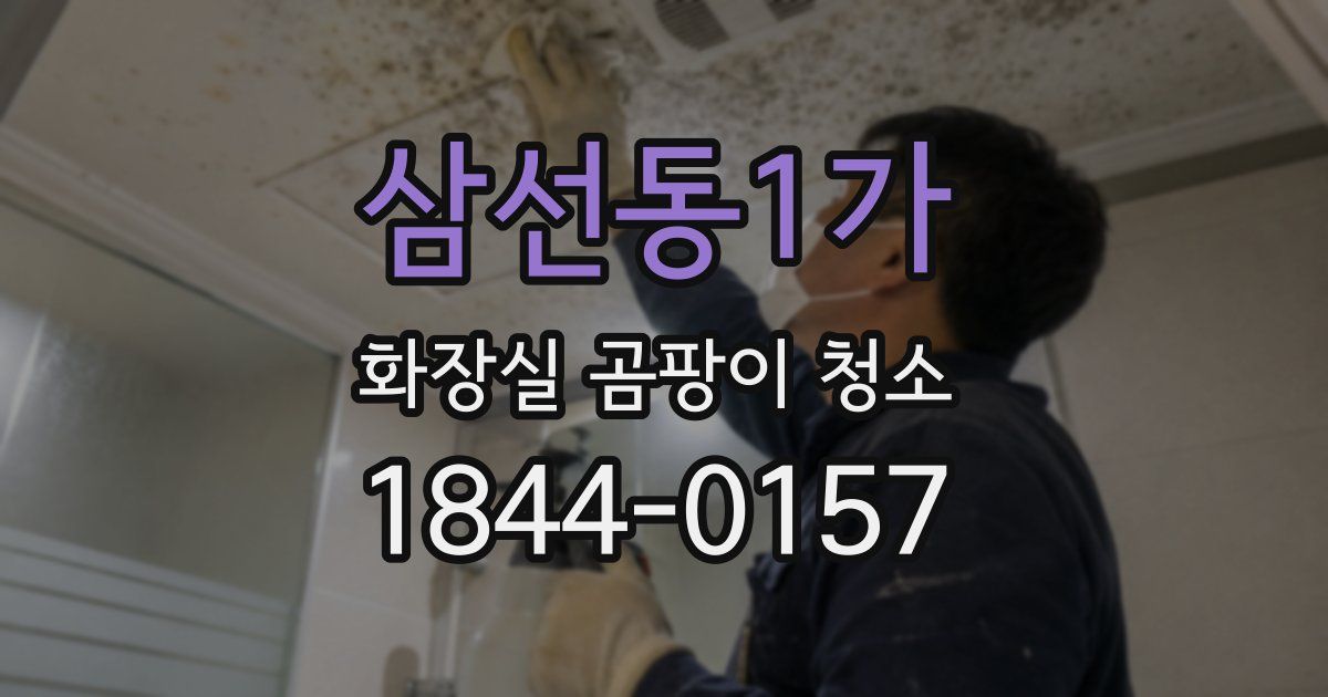 삼선동1가 화장실 곰팡이 청소