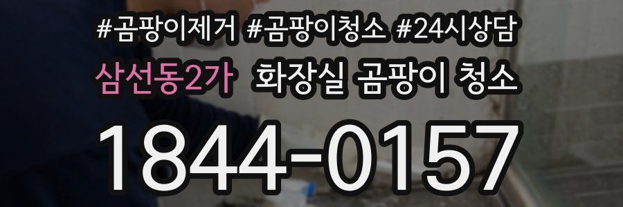 삼선동2가 화장실 곰팡이 청소
