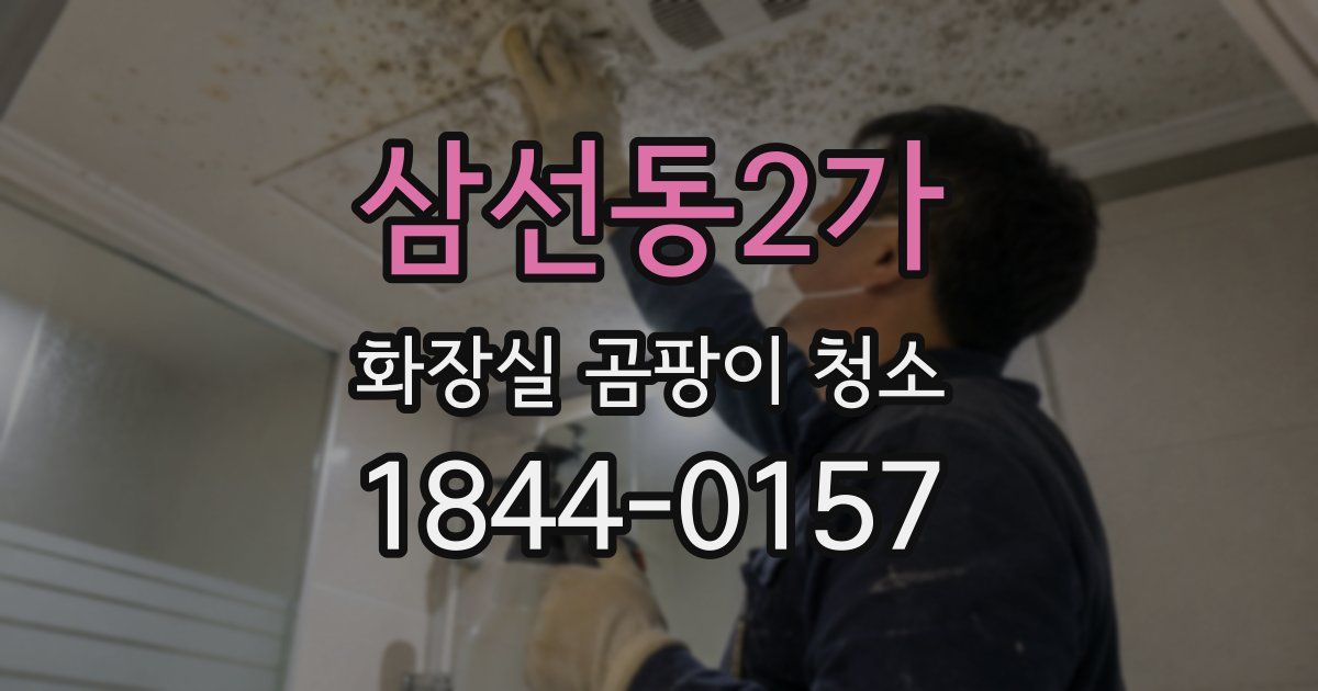 삼선동2가 화장실 곰팡이 청소