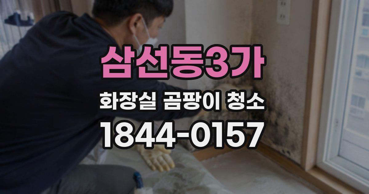 삼선동3가 화장실 곰팡이 청소