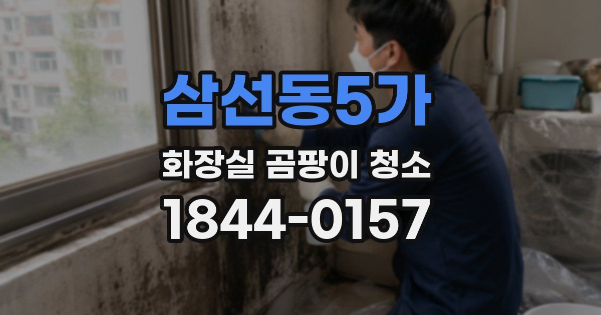 삼선동5가 화장실 곰팡이 청소