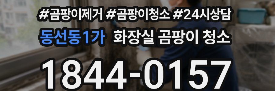 동선동1가 화장실 곰팡이 청소
