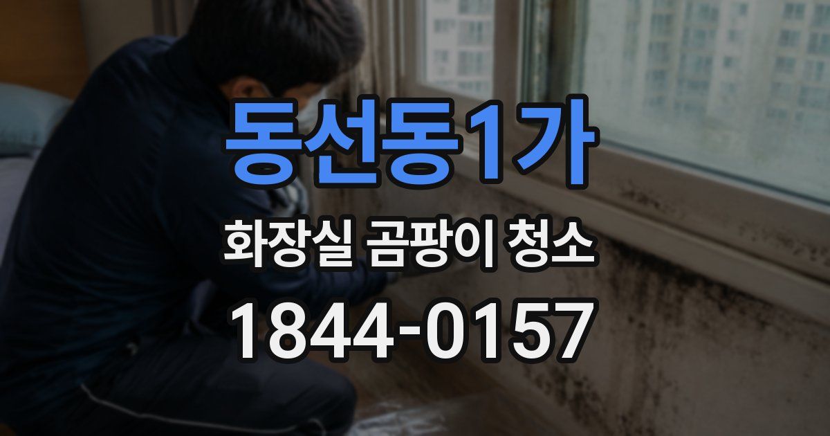 동선동1가 화장실 곰팡이 청소