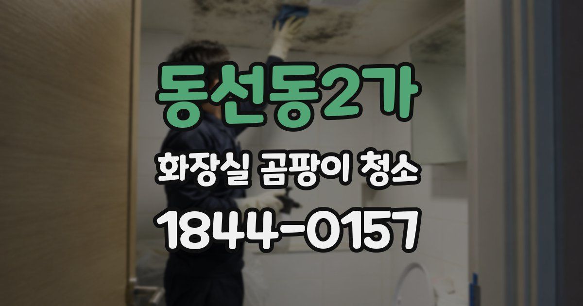 동선동2가 화장실 곰팡이 청소