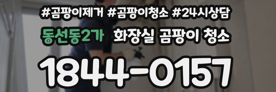 동선동2가 화장실 곰팡이 청소
