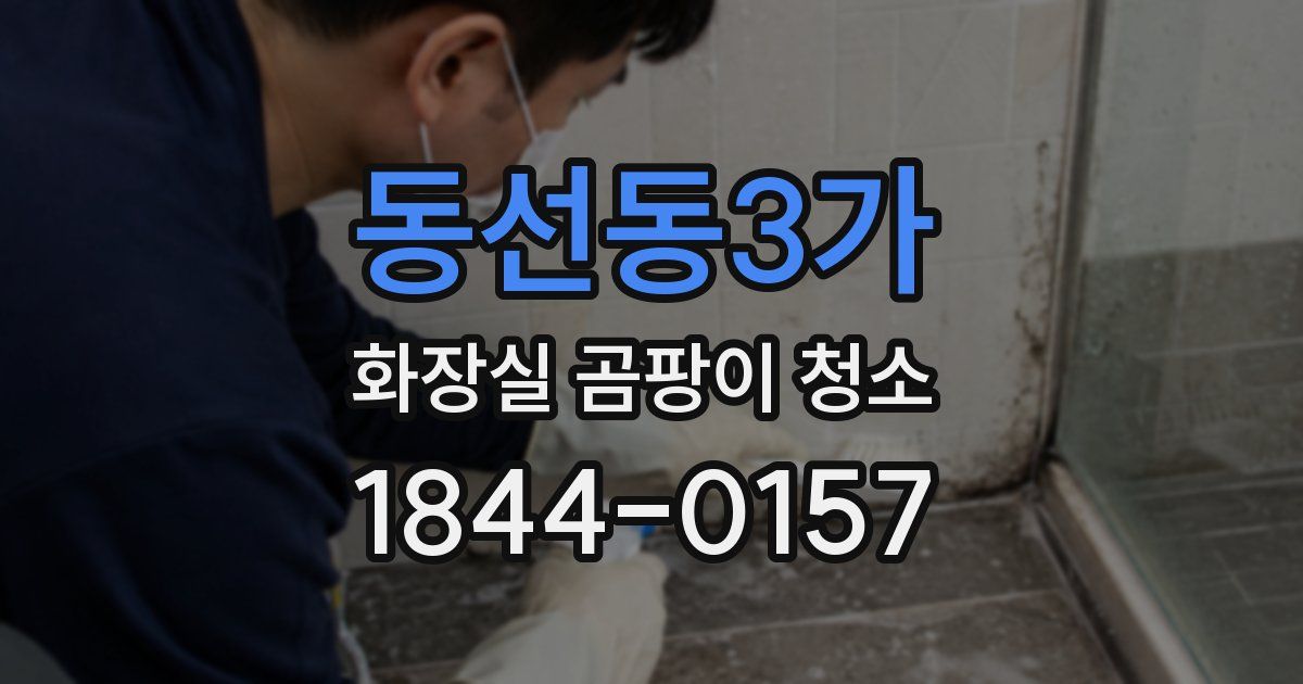 동선동3가 화장실 곰팡이 청소