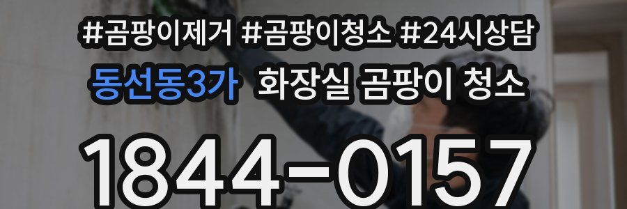 동선동3가 화장실 곰팡이 청소