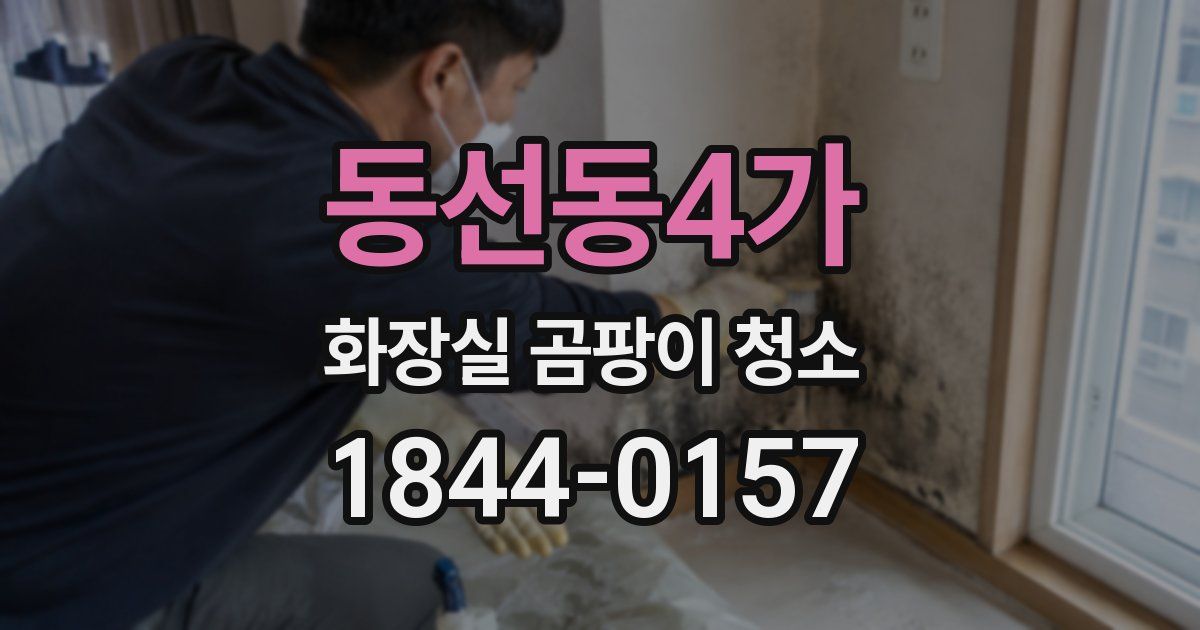 동선동4가 화장실 곰팡이 청소