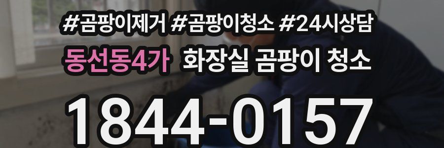 동선동4가 화장실 곰팡이 청소