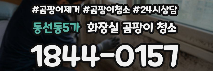 동선동5가 화장실 곰팡이 청소