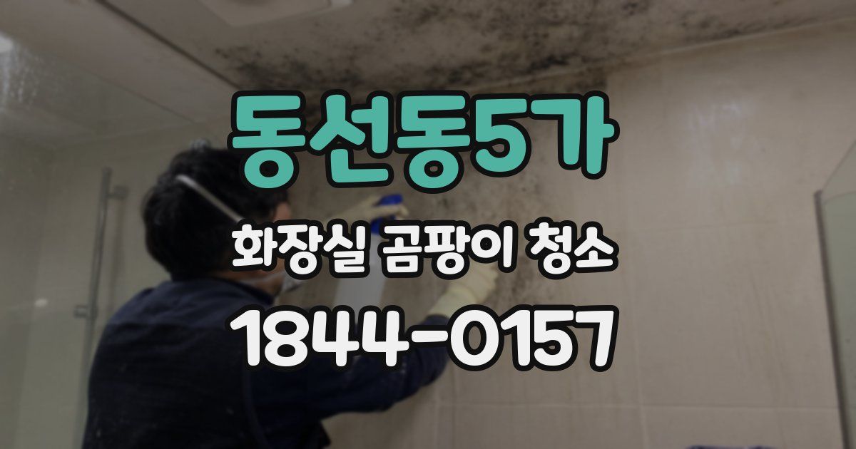 동선동5가 화장실 곰팡이 청소