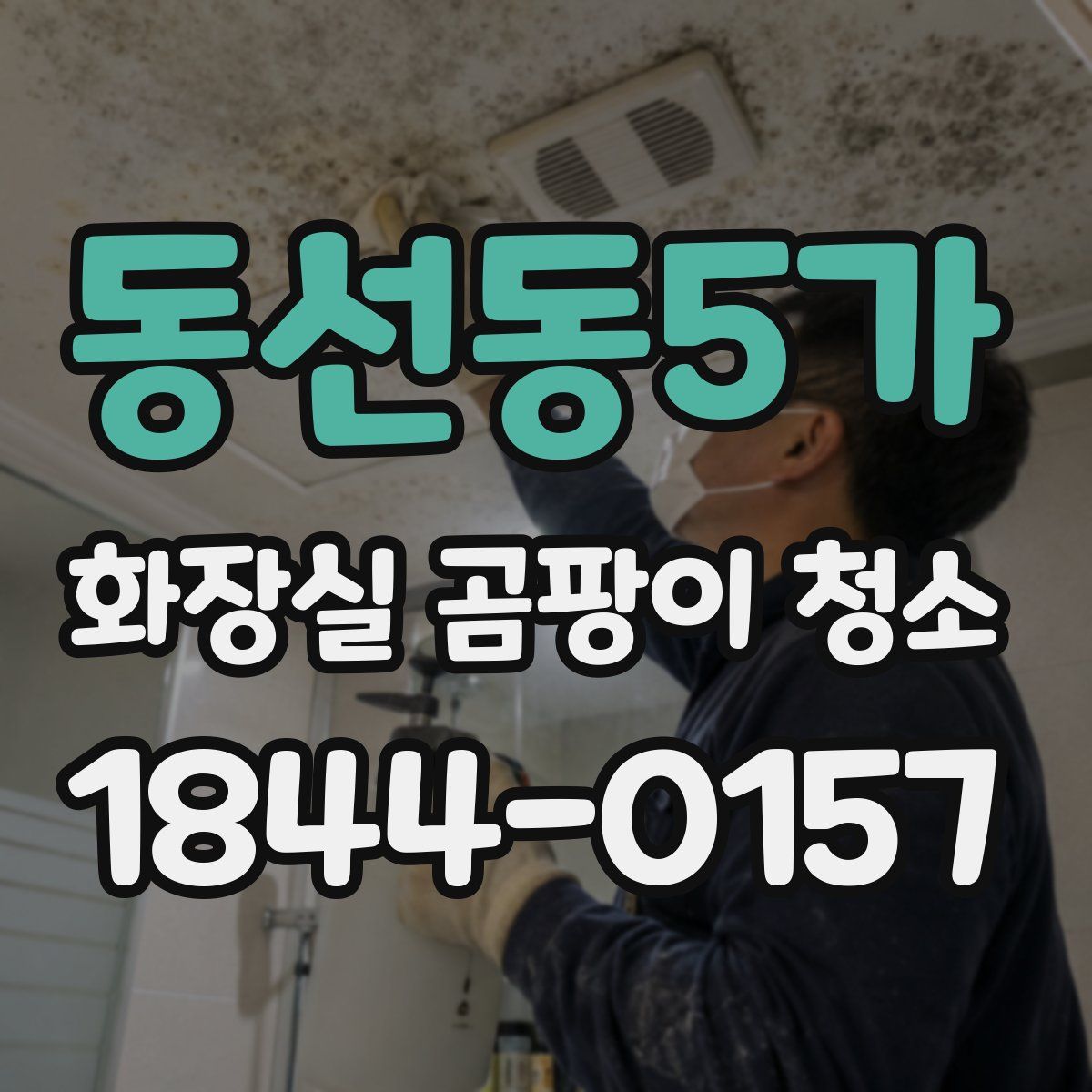 동선동5가 화장실 곰팡이 청소
