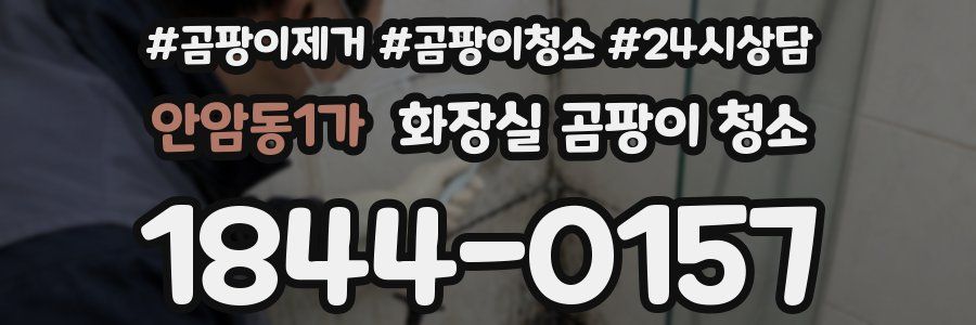 안암동1가 화장실 곰팡이 청소