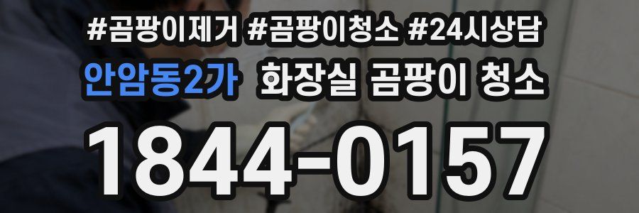 안암동2가 화장실 곰팡이 청소