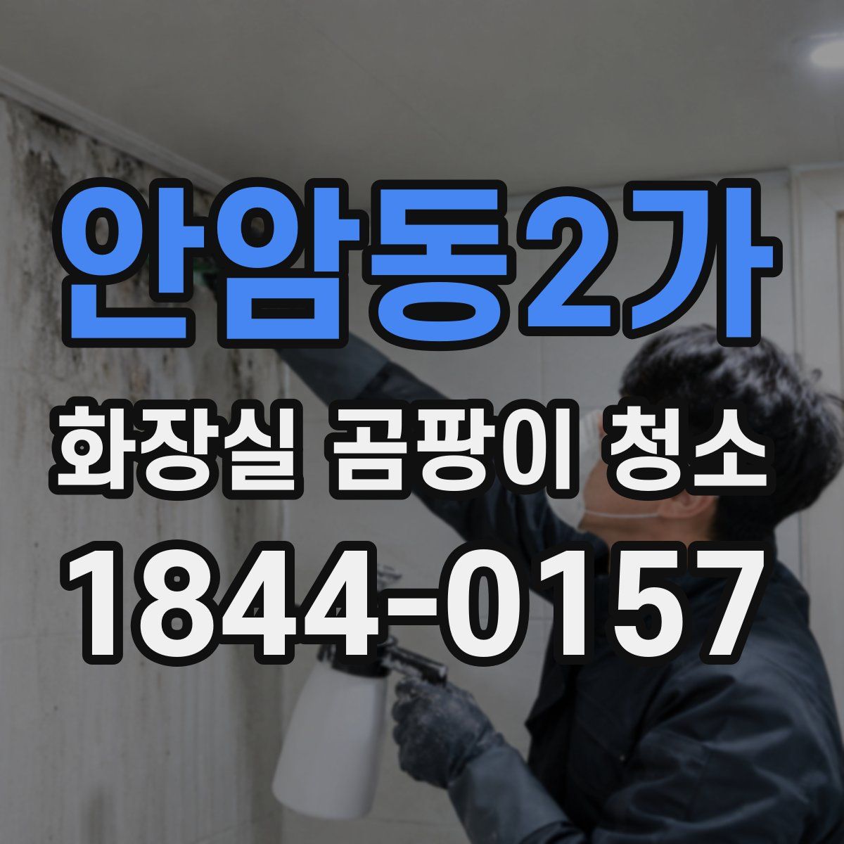 안암동2가 화장실 곰팡이 청소