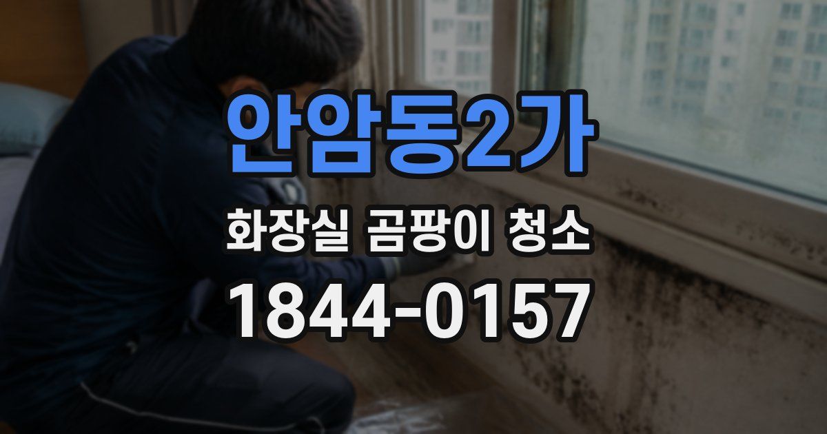 안암동2가 화장실 곰팡이 청소