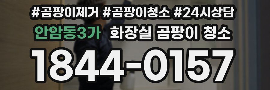 안암동3가 화장실 곰팡이 청소