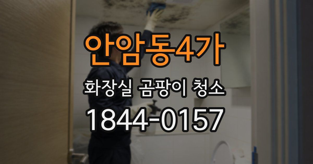 안암동4가 화장실 곰팡이 청소
