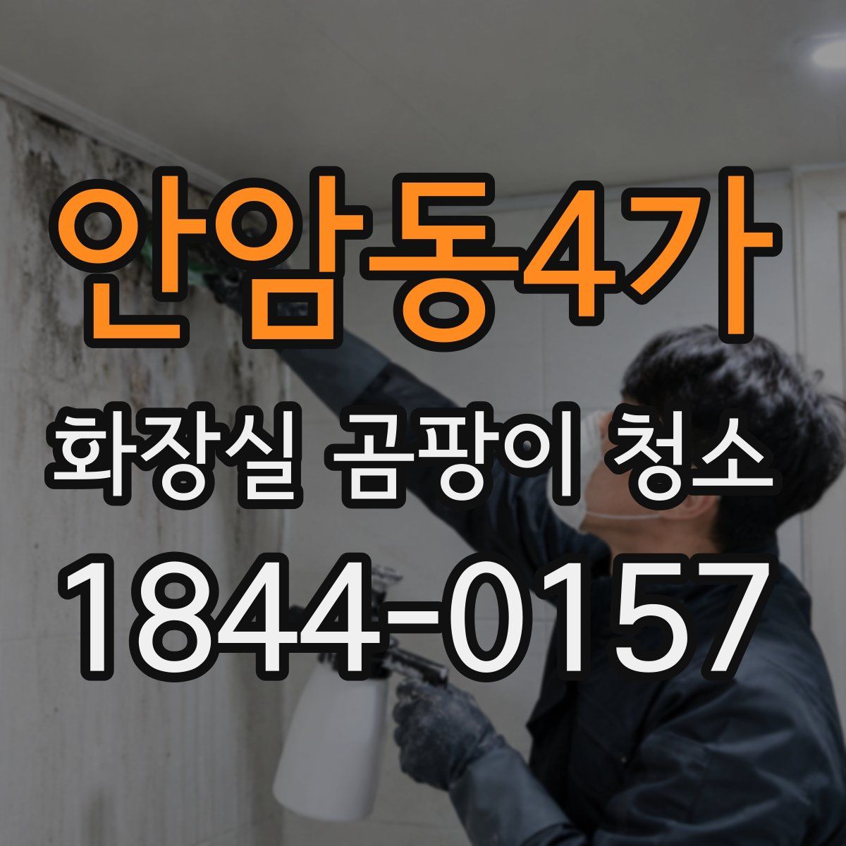 안암동4가 화장실 곰팡이 청소