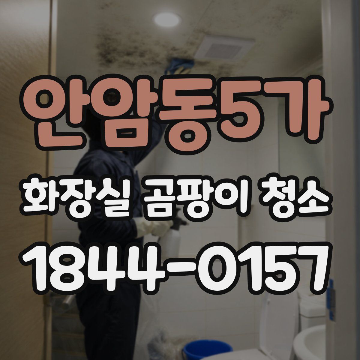 안암동5가 화장실 곰팡이 청소
