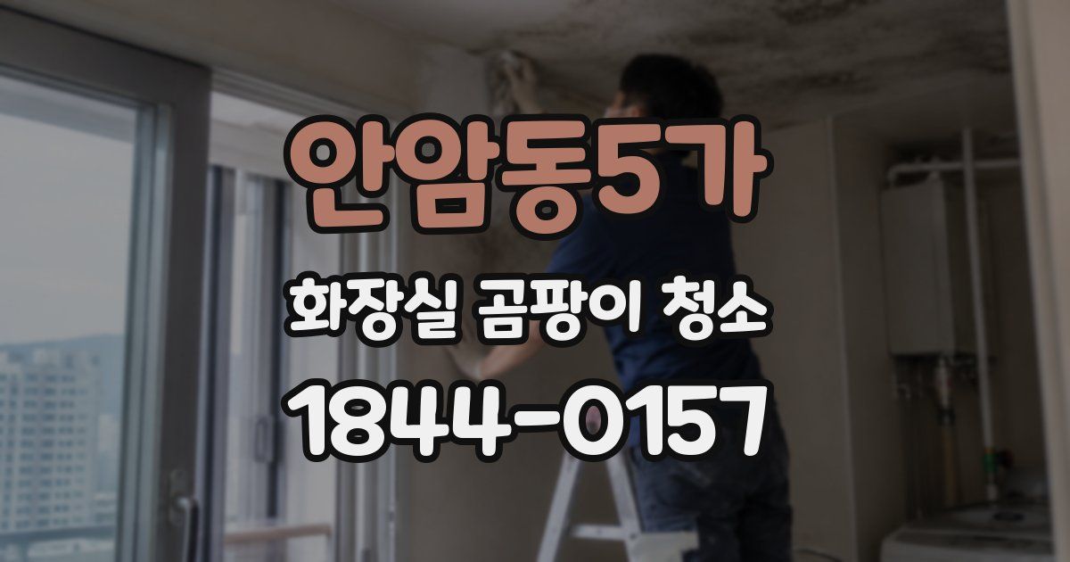 안암동5가 화장실 곰팡이 청소