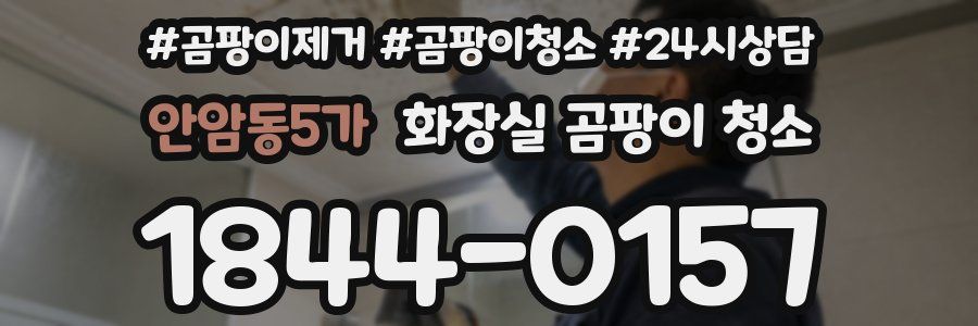 안암동5가 화장실 곰팡이 청소