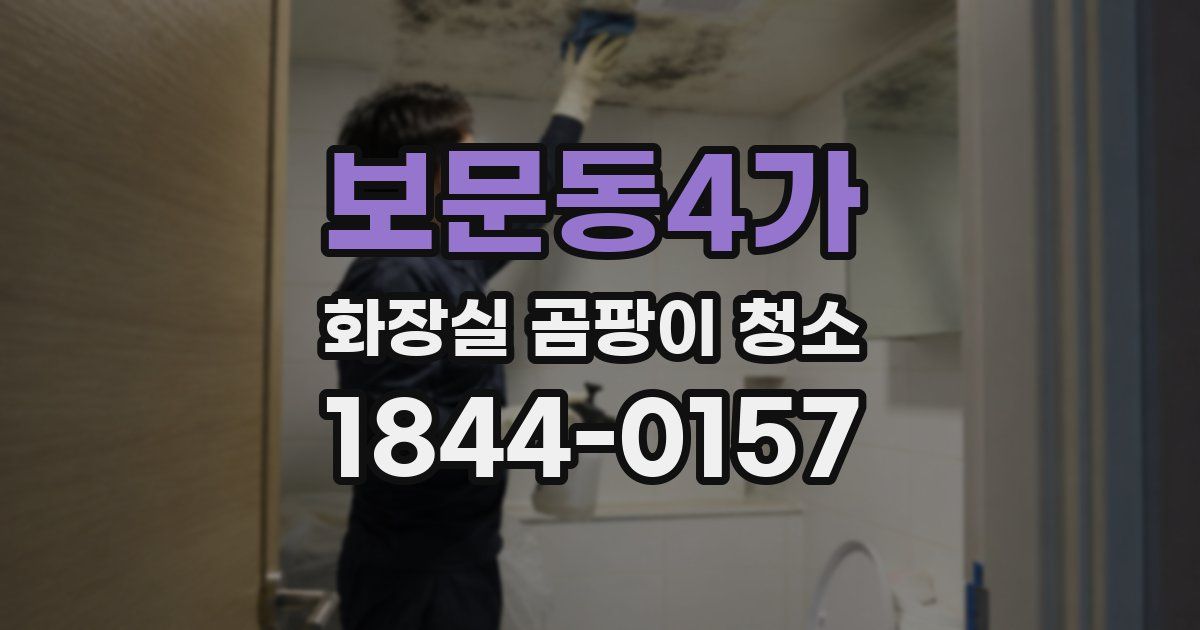 보문동4가 화장실 곰팡이 청소