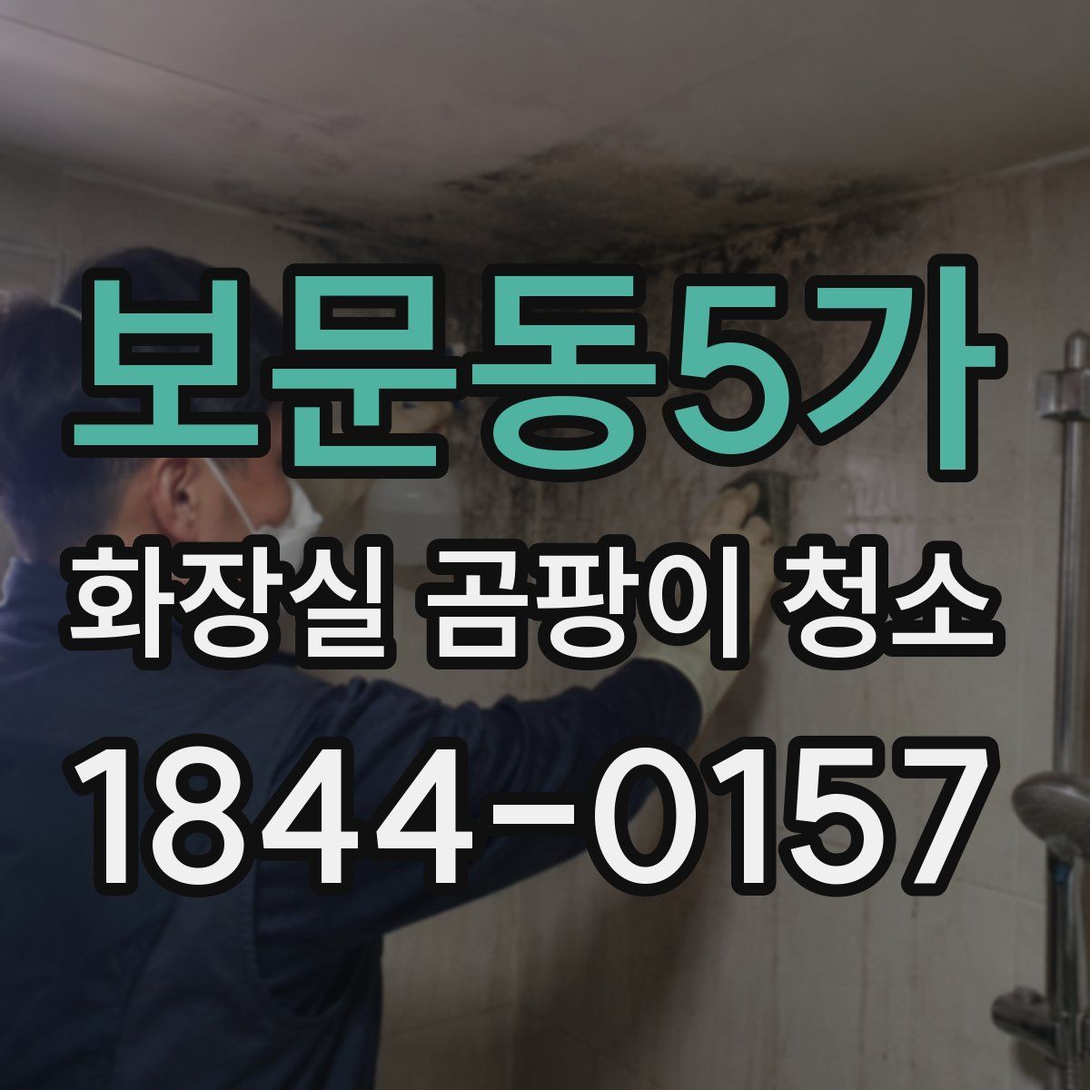 보문동5가 화장실 곰팡이 청소