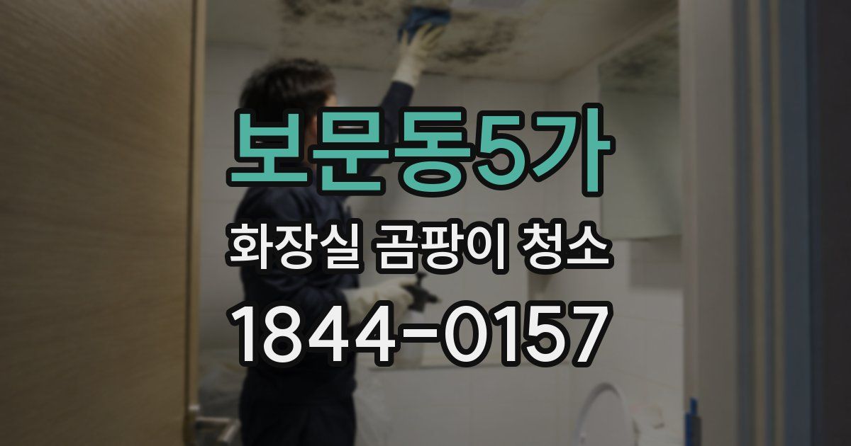 보문동5가 화장실 곰팡이 청소