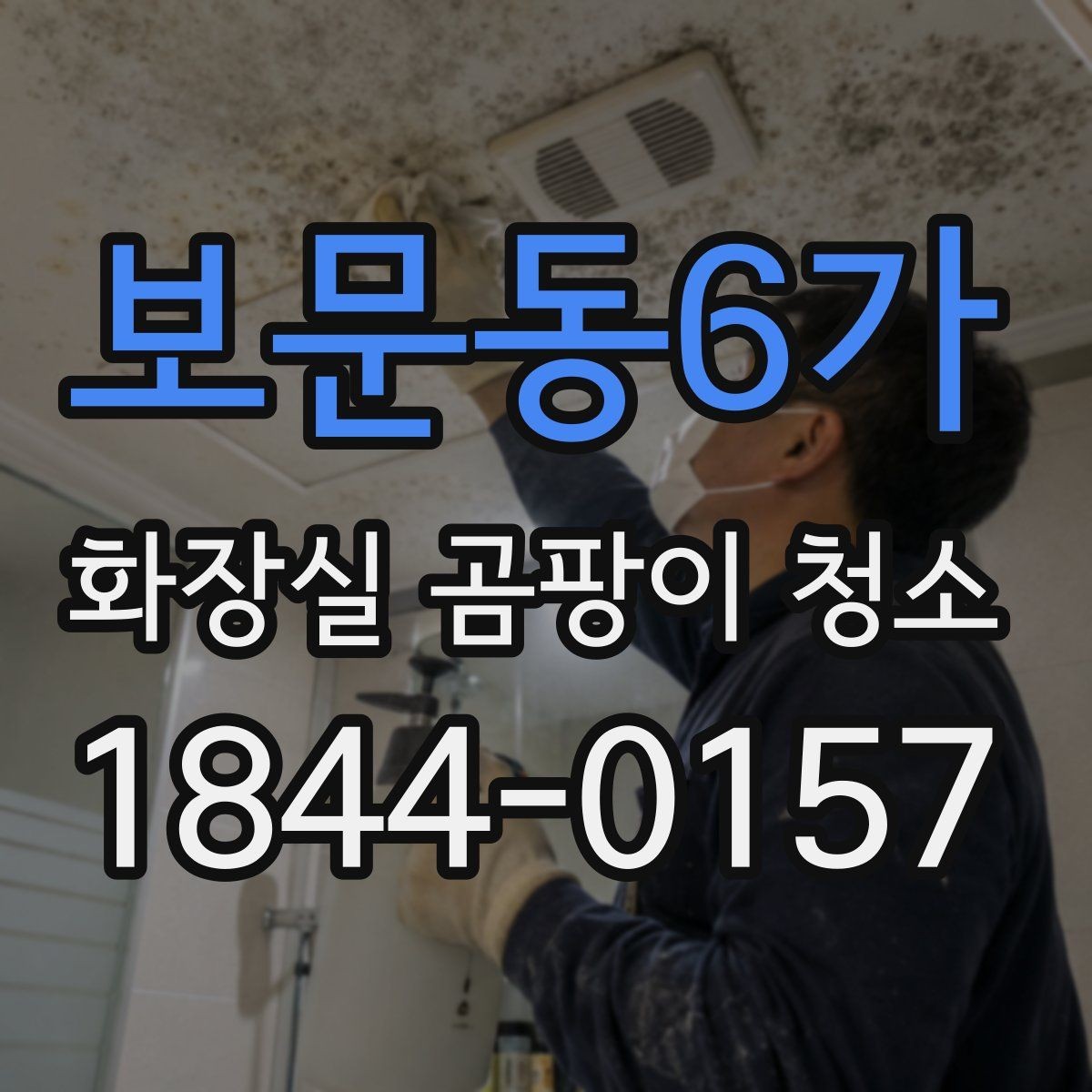 보문동6가 화장실 곰팡이 청소 환기 부족한 공간에서 시작하는 순서