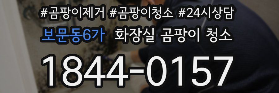 보문동6가 화장실 곰팡이 청소