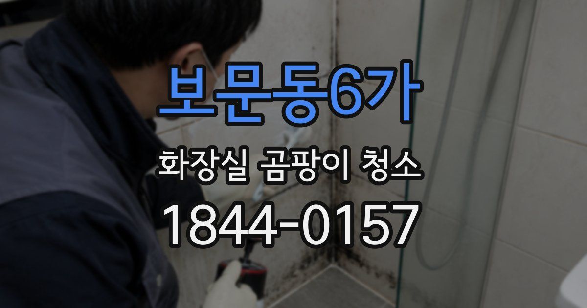 보문동6가 화장실 곰팡이 청소