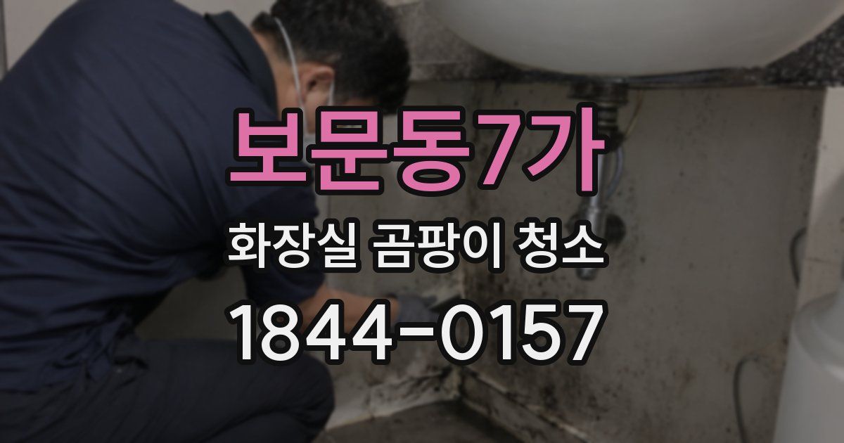 보문동7가 화장실 곰팡이 청소