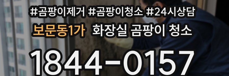 보문동1가 화장실 곰팡이 청소