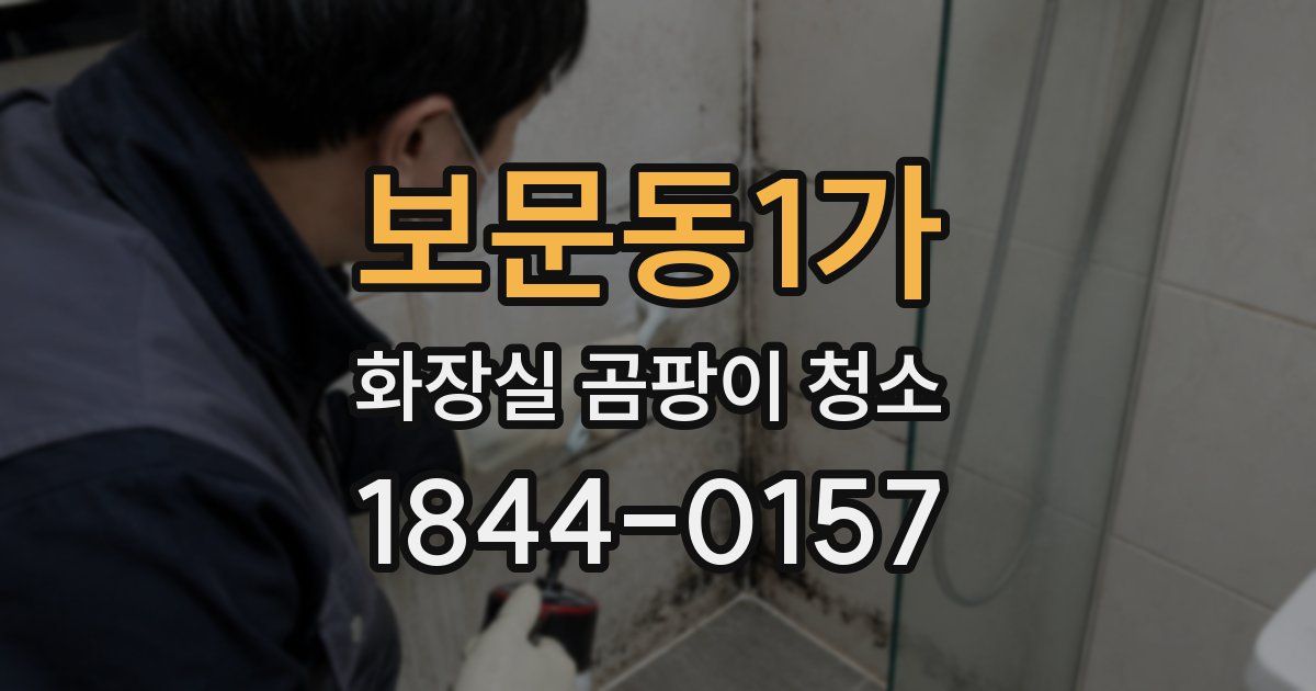 보문동1가 화장실 곰팡이 청소