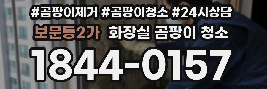 보문동2가 화장실 곰팡이 청소