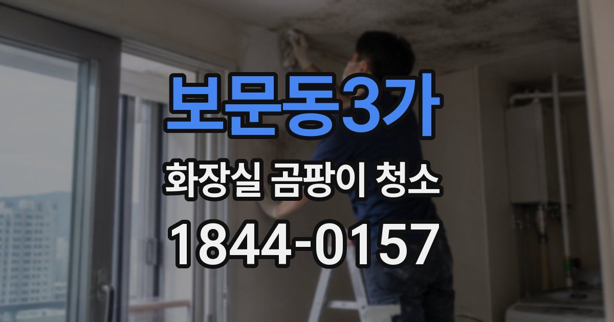 보문동3가 화장실 곰팡이 청소