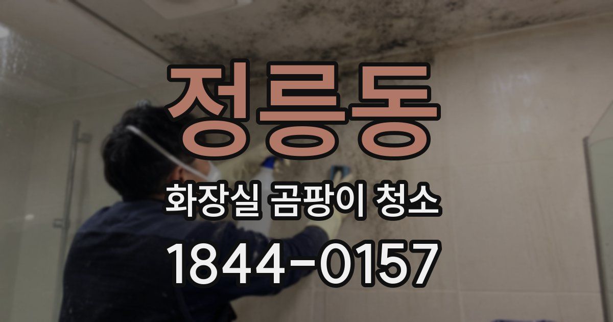 정릉동 화장실 곰팡이 청소