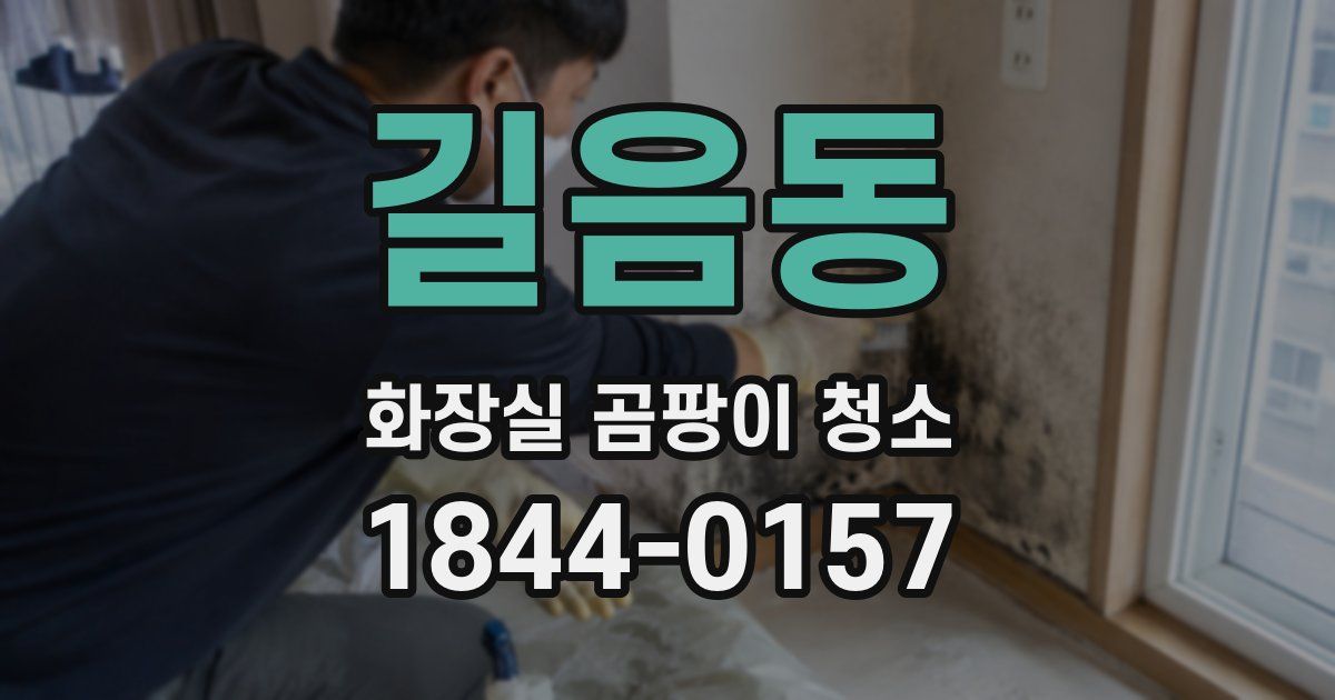 길음동 화장실 곰팡이 청소
