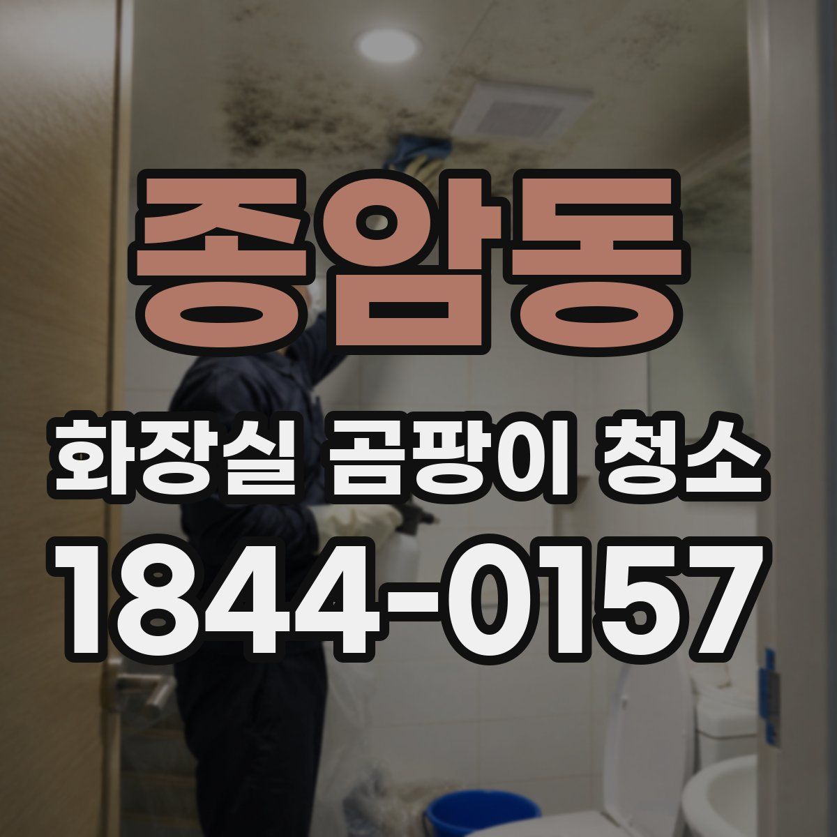 종암동 화장실 곰팡이 청소