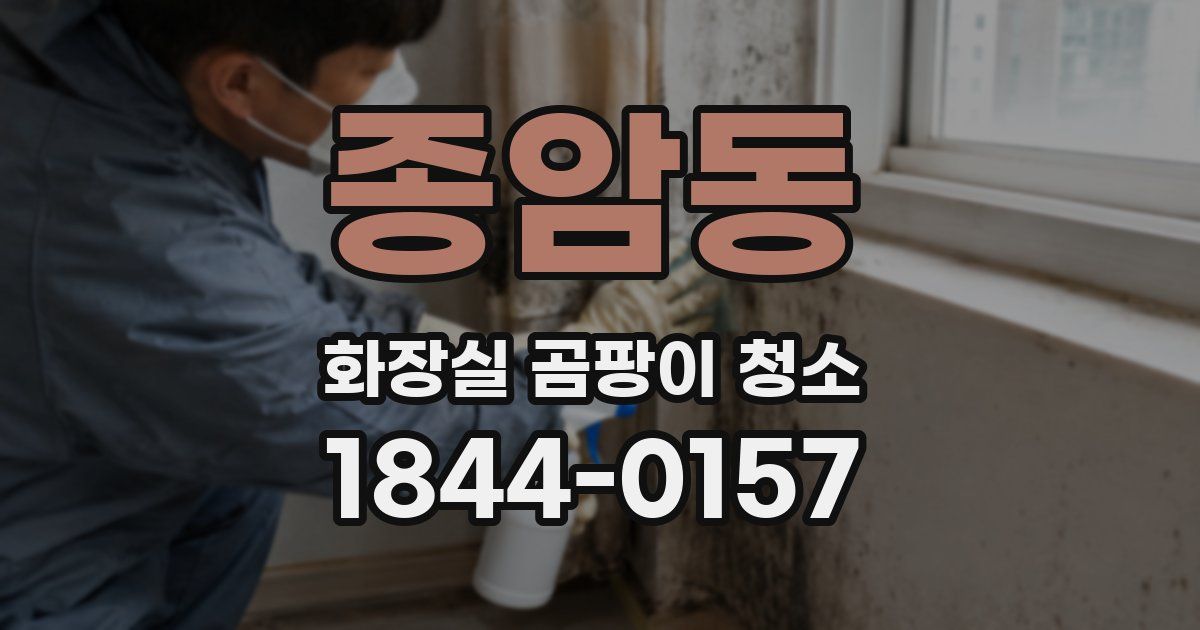 종암동 화장실 곰팡이 청소