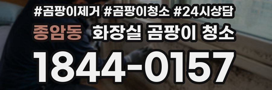 종암동 화장실 곰팡이 청소