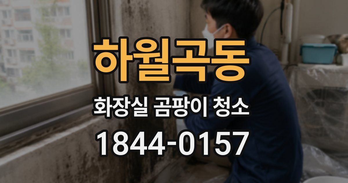 하월곡동 화장실 곰팡이 청소